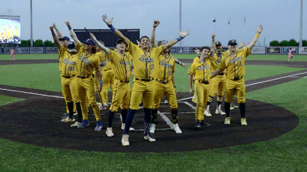 How the Savannah Bananas baseball team is creating ‘the greatest show in sports’