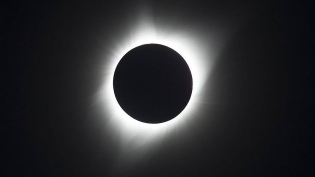 How the solar eclipse will impact plants and animals