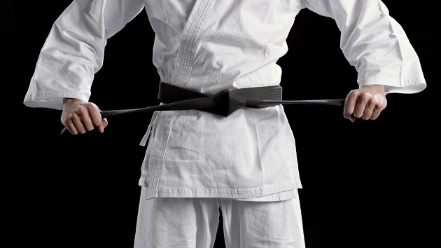 Family of black belts saves woman from alleged sexual assault