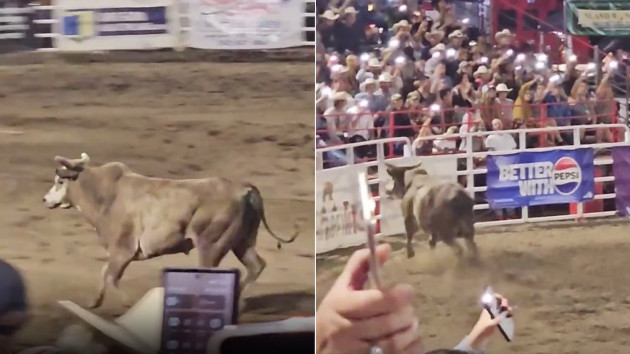 Rodeo bull jumps over arena fence, injuring three people, including sheriffs deputy