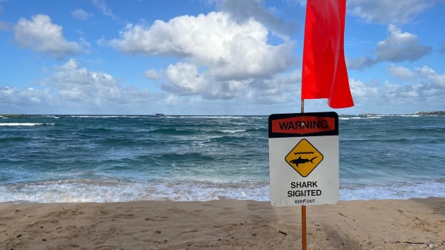 Twenty-year-old injured in potential shark attack in Hawaii