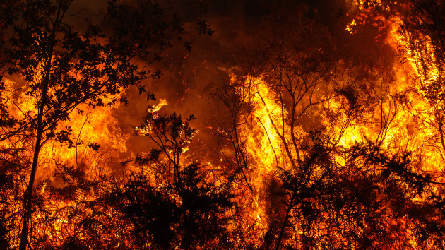 Park Fire suspect charged with felony arson for allegedly igniting largest wildfire burning in US