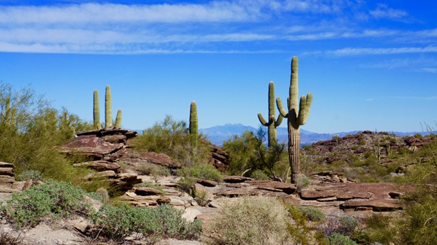 10-year-old boy dies in Arizona after hiking in triple-digit temperatures