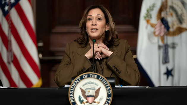 Kamala Harris faces racial DEI attacks amid campaign for the 2024 presidency