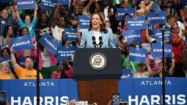 Kamala Harris has enough delegate votes to become historic Democratic nominee: DNC chair