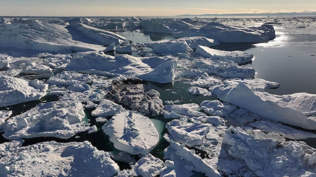 Arctic fossils indicate ice shelf is not as stable as previously thought, scientists say